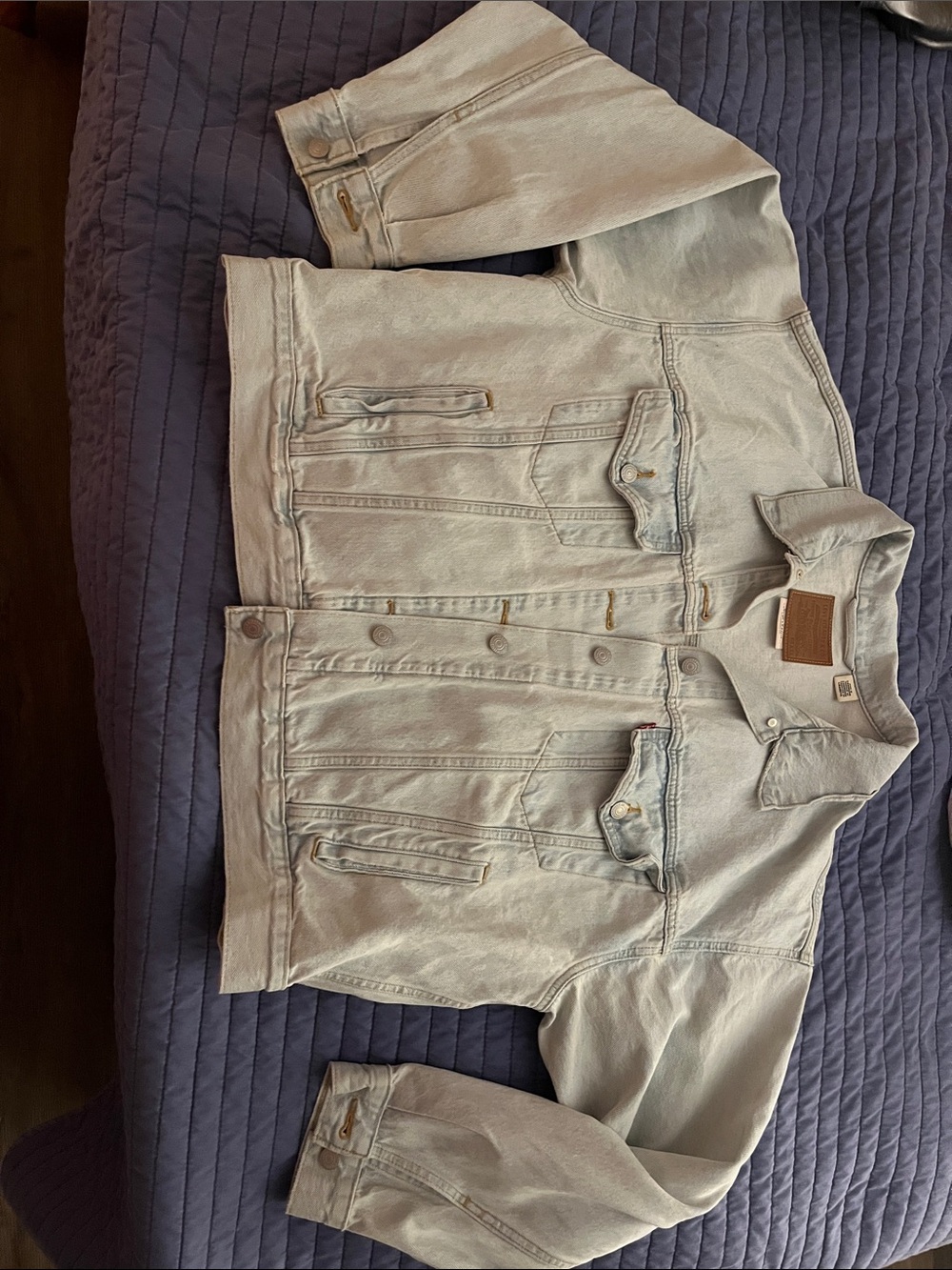 Levi Jean jacket